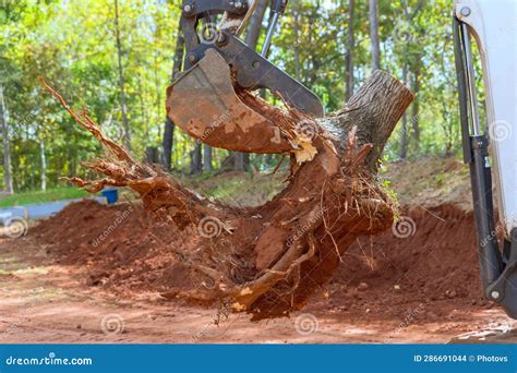 Removing roots with a skid